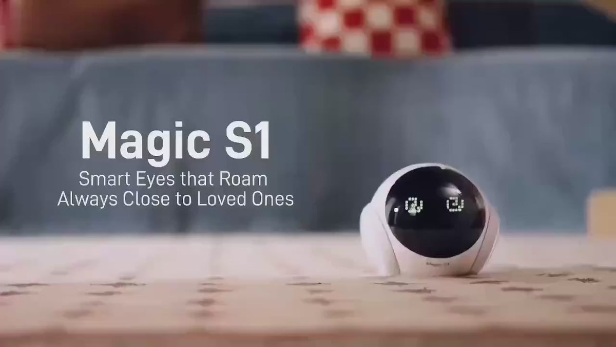 Homeroam Robot Camera